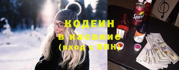 индика Балахна