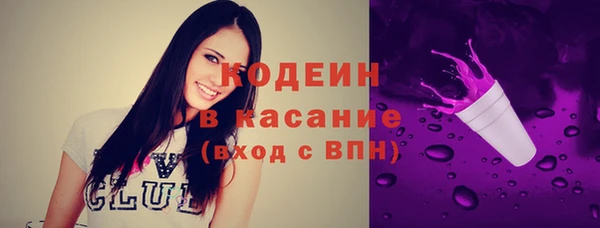 индика Балахна