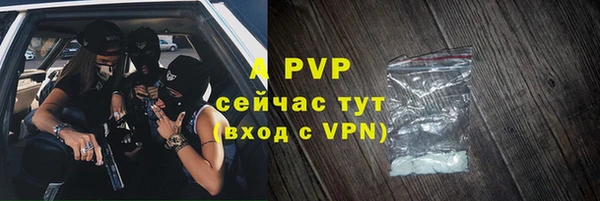 индика Балахна
