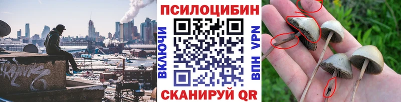 Галлюциногенные грибы мухоморы  купить  цена  Полысаево 