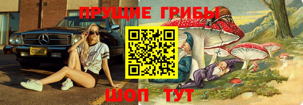 Псилоцибиновые грибы Magic Shrooms  Псилоцибиновые грибы Psilocybe  Полысаево  Вход с VPN 